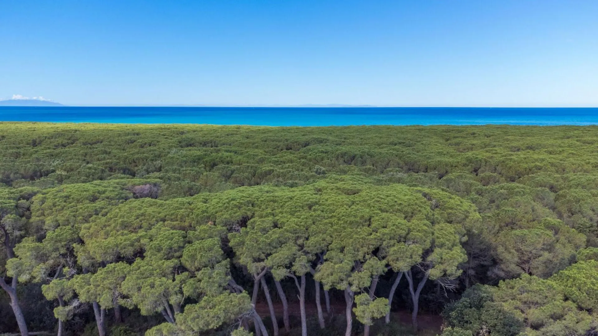 Holiday Home Borgo Il Vallin Delle Conche-1 By Interhome Fiorino Italy